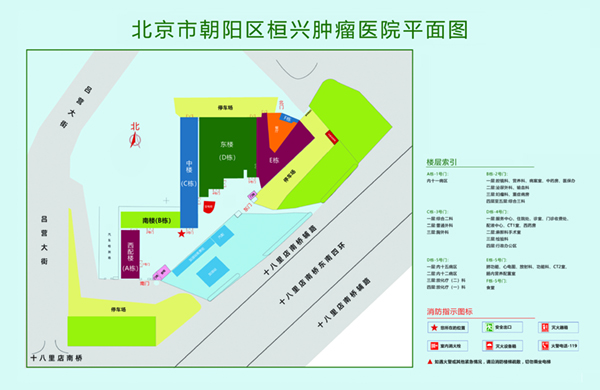 曰逼影视av网北京市朝阳区桓兴肿瘤医院平面图